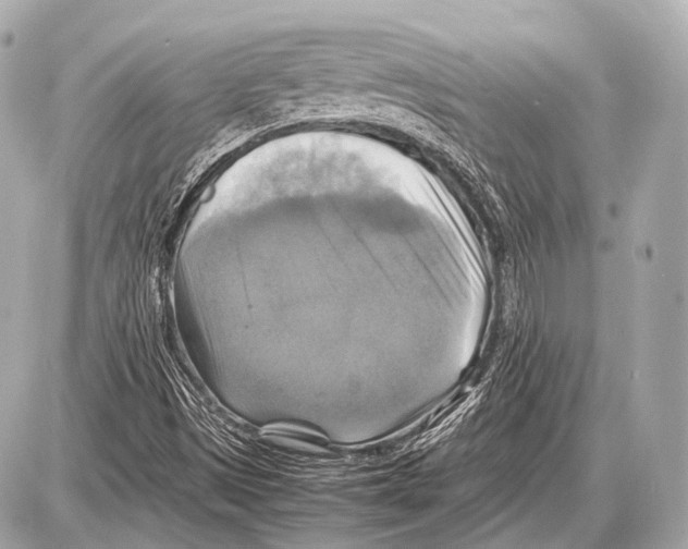 X0000087011497200705141818