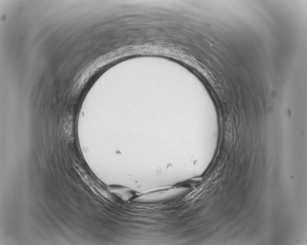 X0000087011499200705141818