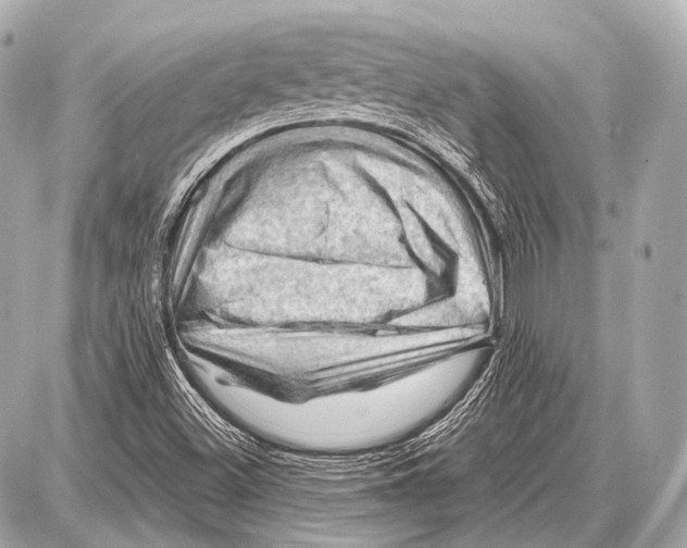 X0000087011500200705141818