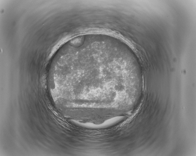 X0000087011501200705141818