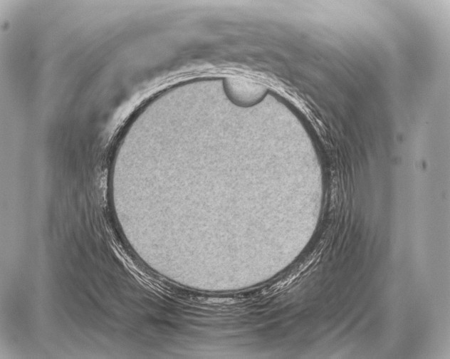 X0000087011503200705141818