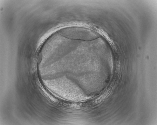 X0000087011504200705141818