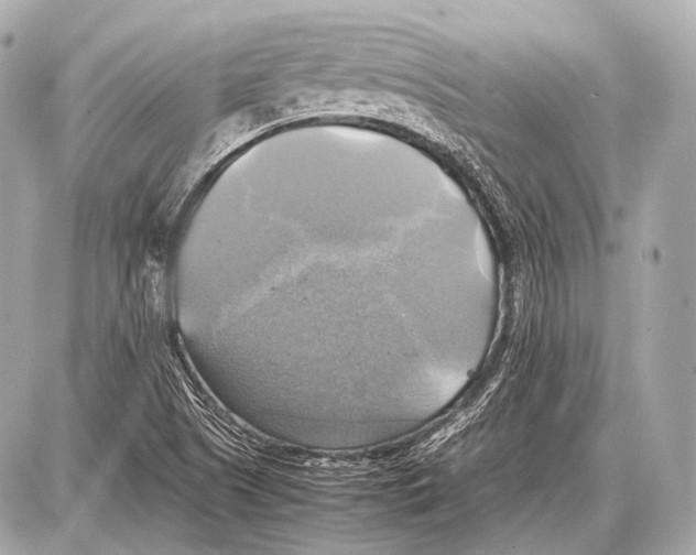 X0000087011505200705141818