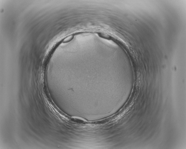 X0000087011506200705141818