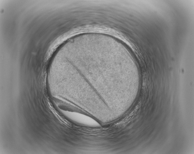 X0000087011507200705141818