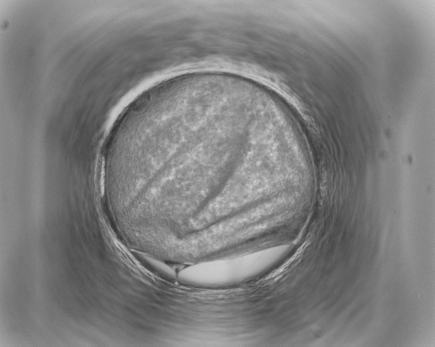 X0000087011510200705141818