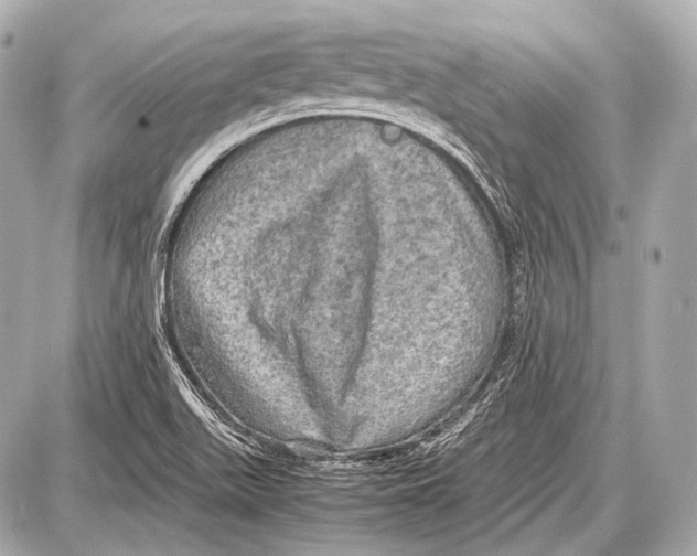 X0000087011511200705141818