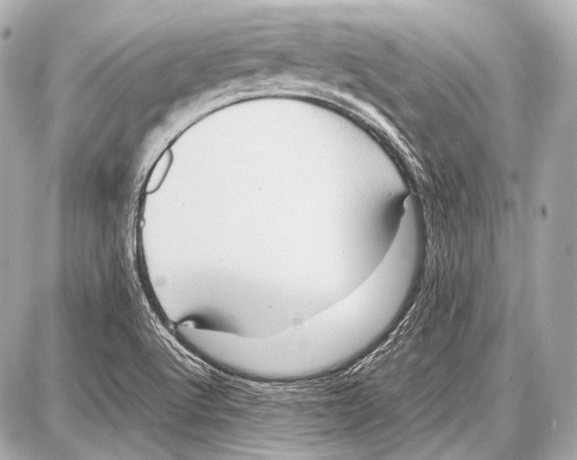 X0000087011512200705141818