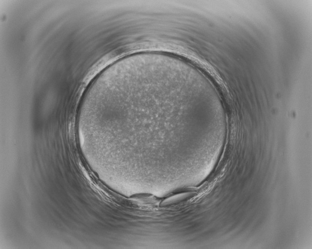 X0000087011513200705141818