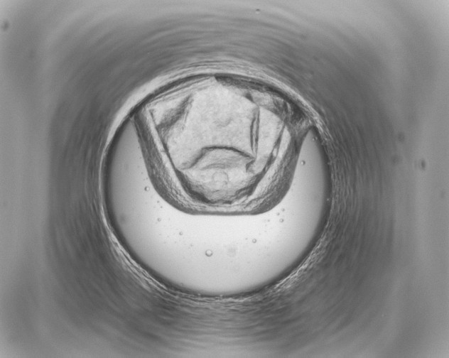 X0000087011514200705141818