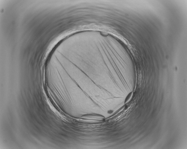 X0000087011515200705141818