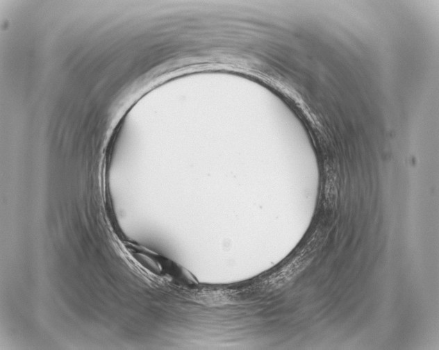 X0000087011516200705141818