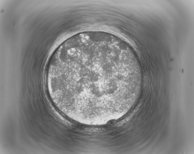 X0000087011517200705141818