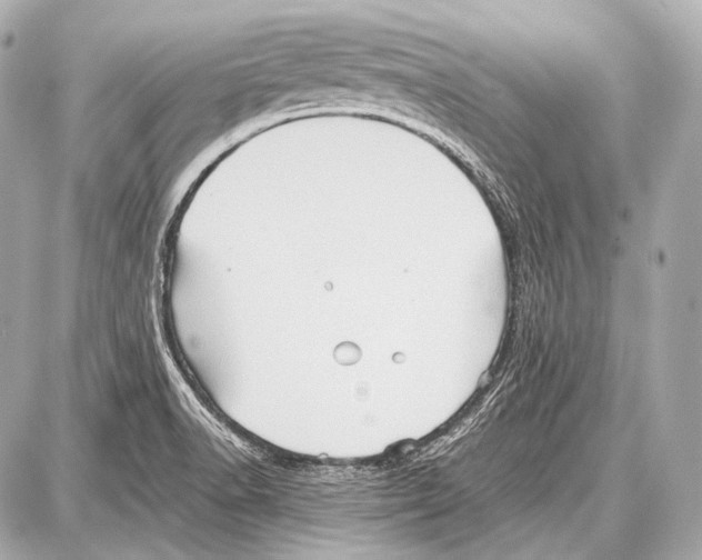 X0000087011518200705141818