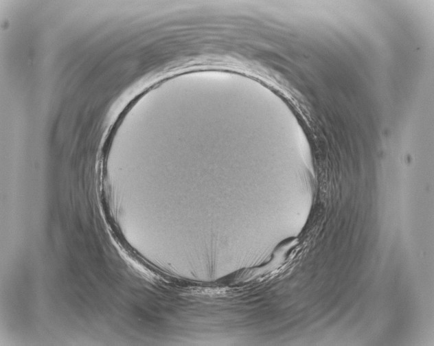 X0000087011519200705141818