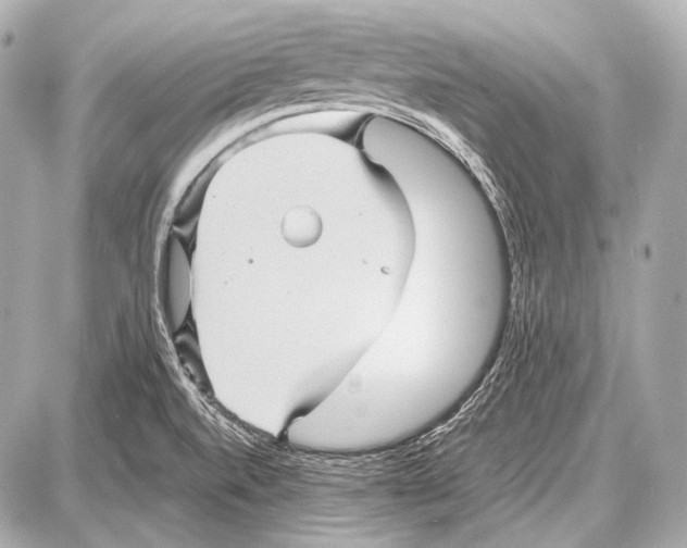 X0000087011520200705141818