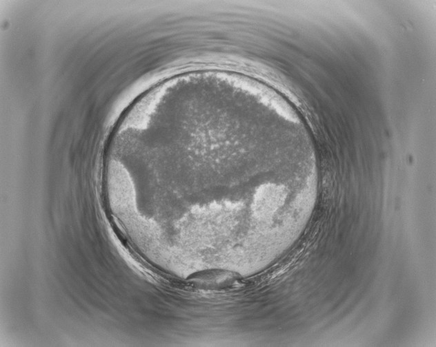 X0000087011523200705141818