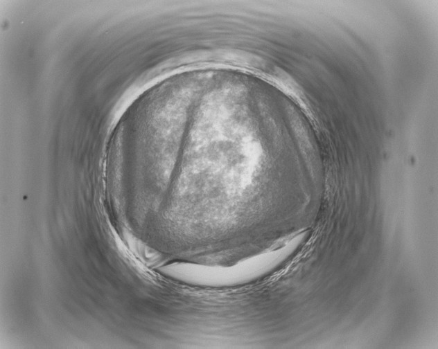 X0000087011524200705141818