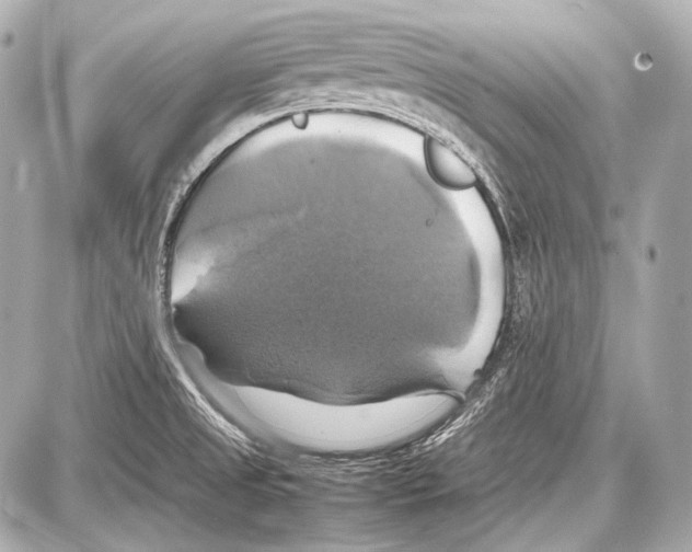 X0000087011525200705141818