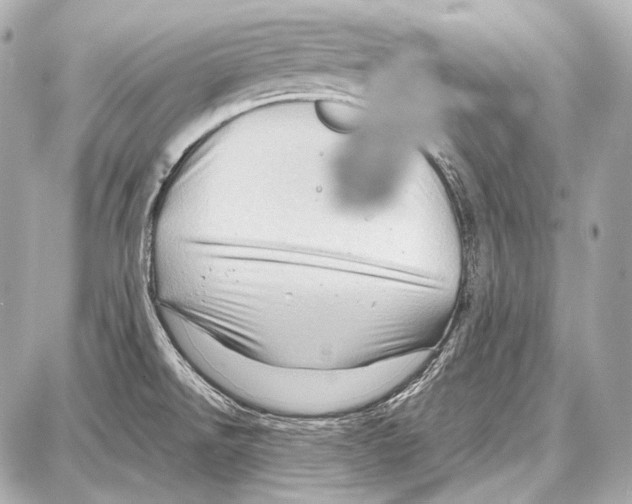 X0000087011526200705141818