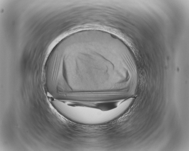 X0000087011527200705141818