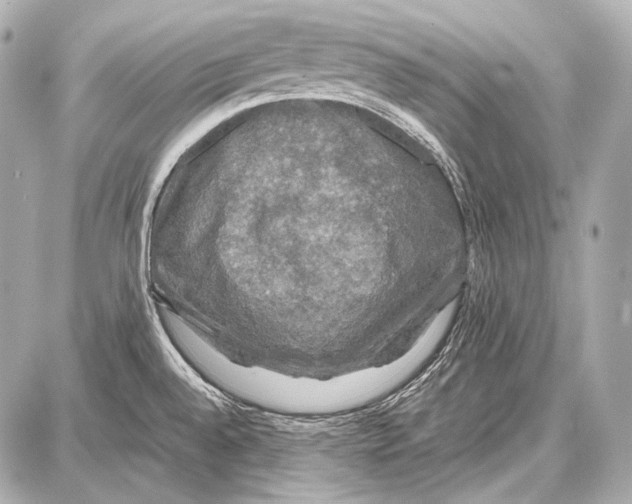 X0000087011528200705141818