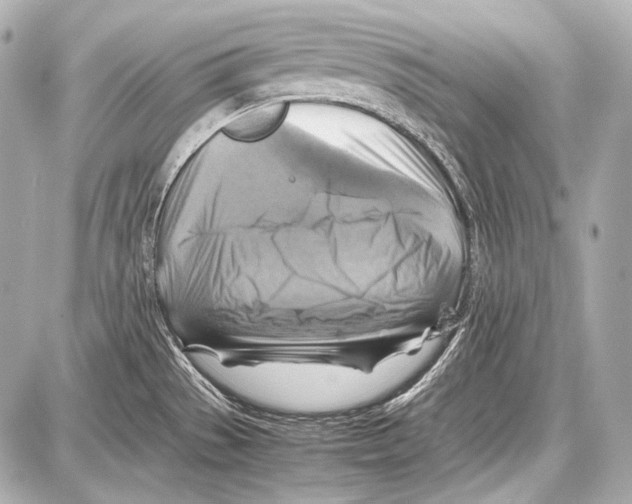 X0000087011529200705141818