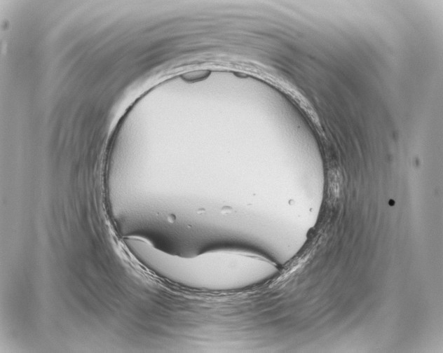 X0000087011530200705141818