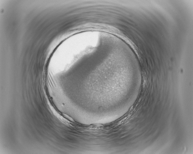 X0000087011531200705141818