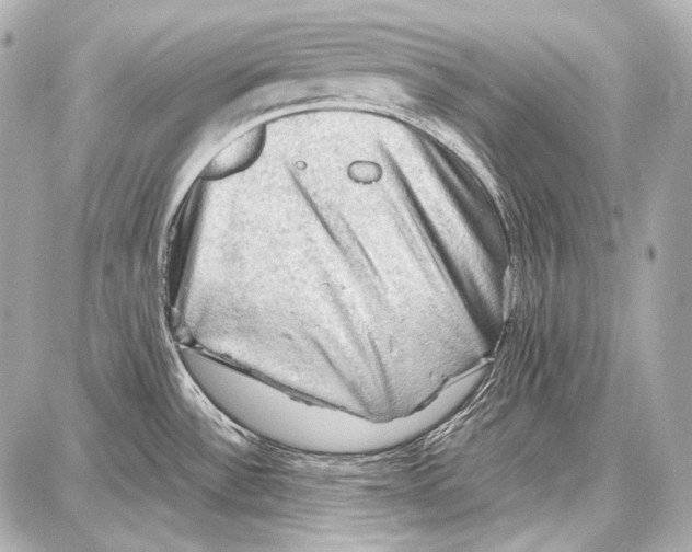 X0000087011532200705141818