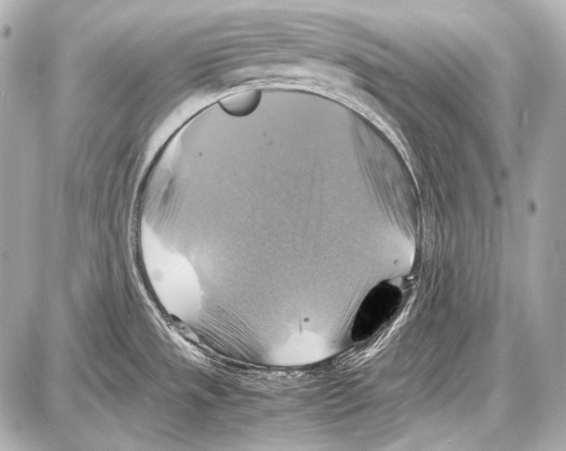 X0000087011533200705141819