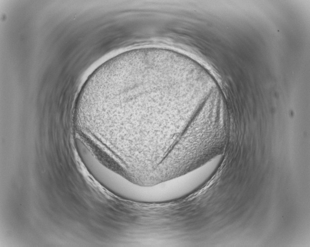 X0000087011534200705141819