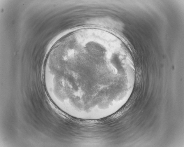 X0000087011535200705141819