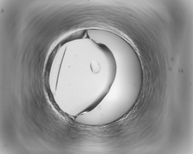 X0000087011536200705141819