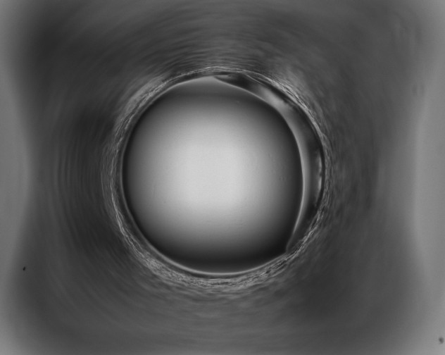 X0000087020001200704161609