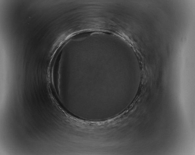 X0000087020002200704161609