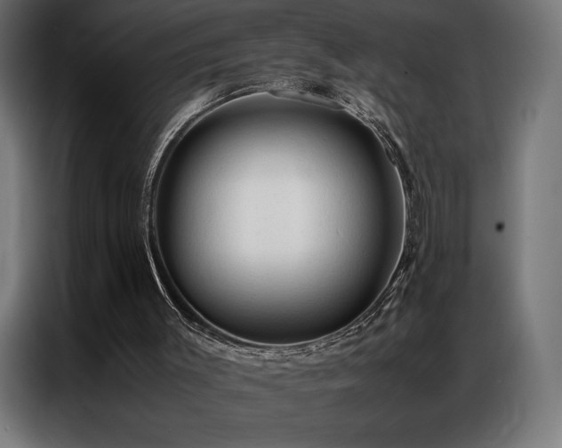 X0000087020003200704161609