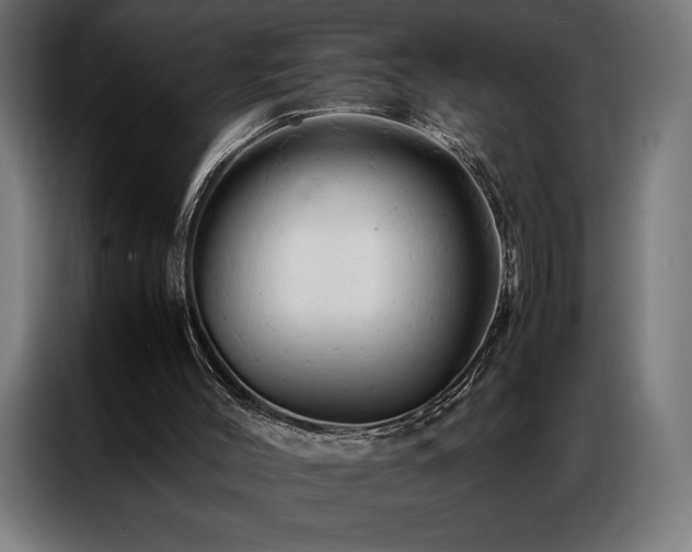 X0000087020004200704161609