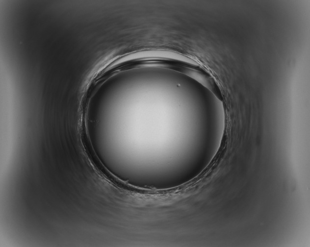 X0000087020005200704161609