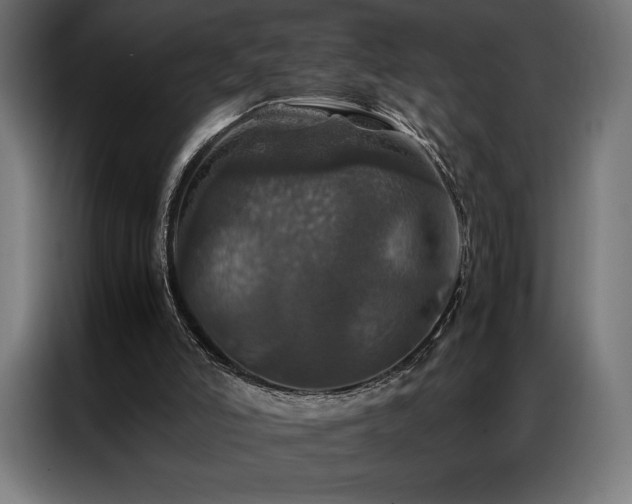 X0000087020006200704161609