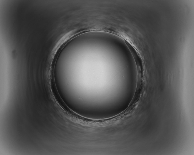 X0000087020007200704161609