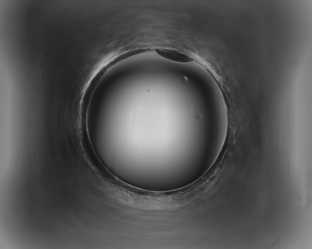 X0000087020008200704161609