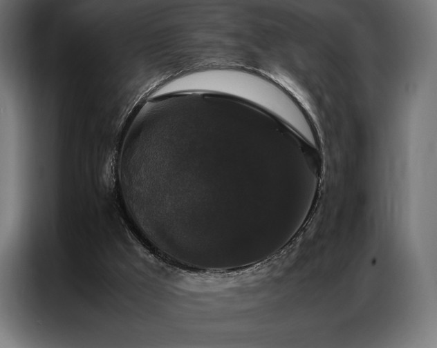 X0000087020009200704161609