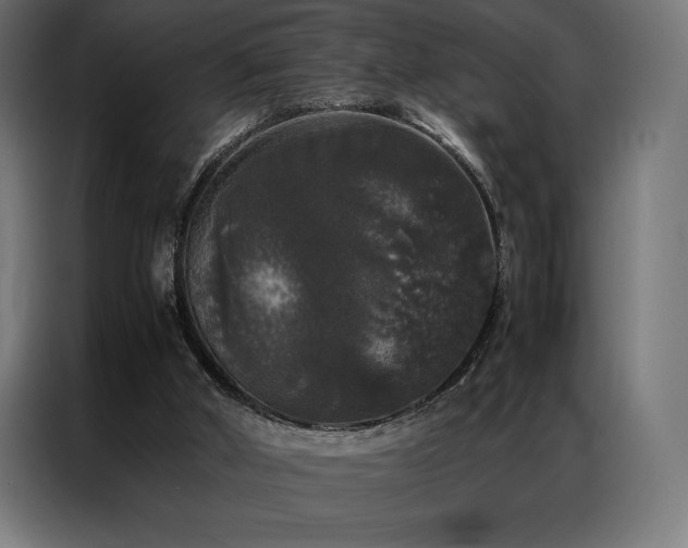 X0000087020010200704161609
