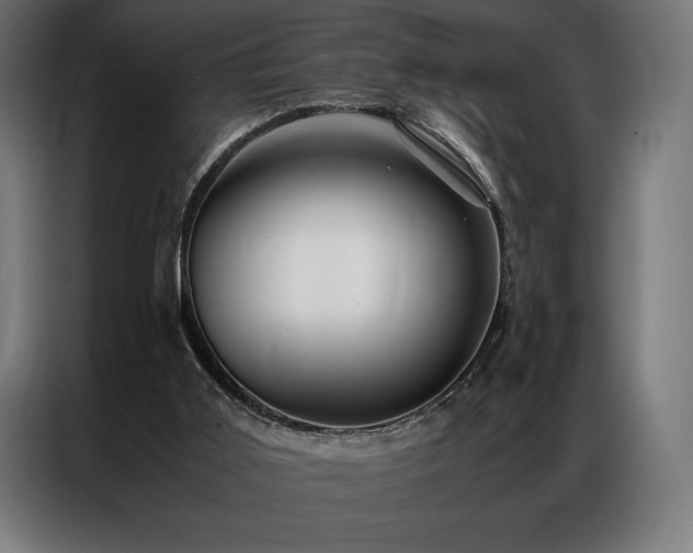 X0000087020011200704161609