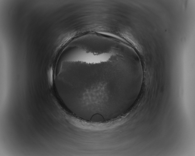 X0000087020014200704161609
