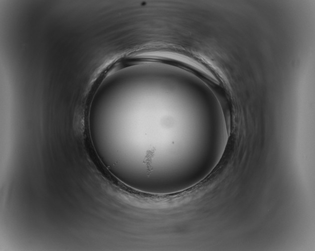 X0000087020015200704161609