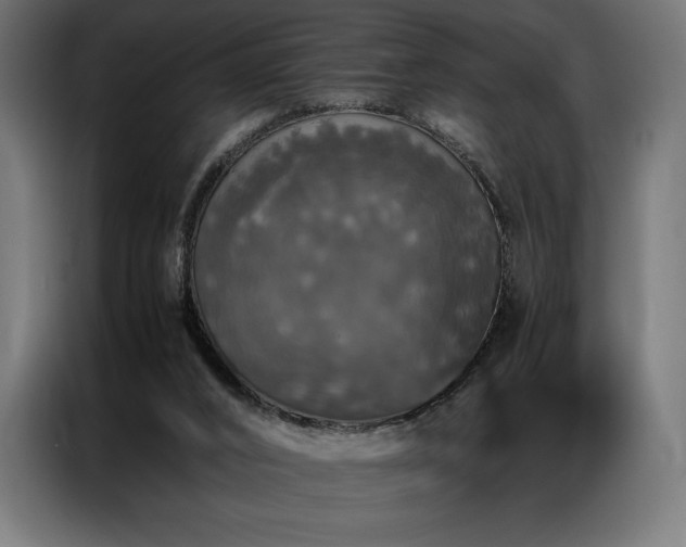 X0000087020016200704161609