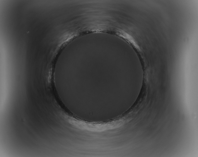 X0000087020018200704161609