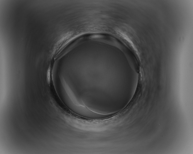 X0000087020019200704161609